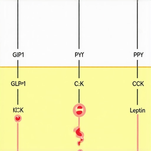 Diagram showing interaction of hormones like GLP-1, PYY, CCK, and leptin in appetite regulation