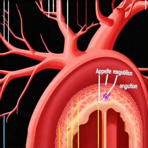 Diagram showing semaglutide molecules crossing the blood-brain barrier and influencing appetite-regulating neural circuits.